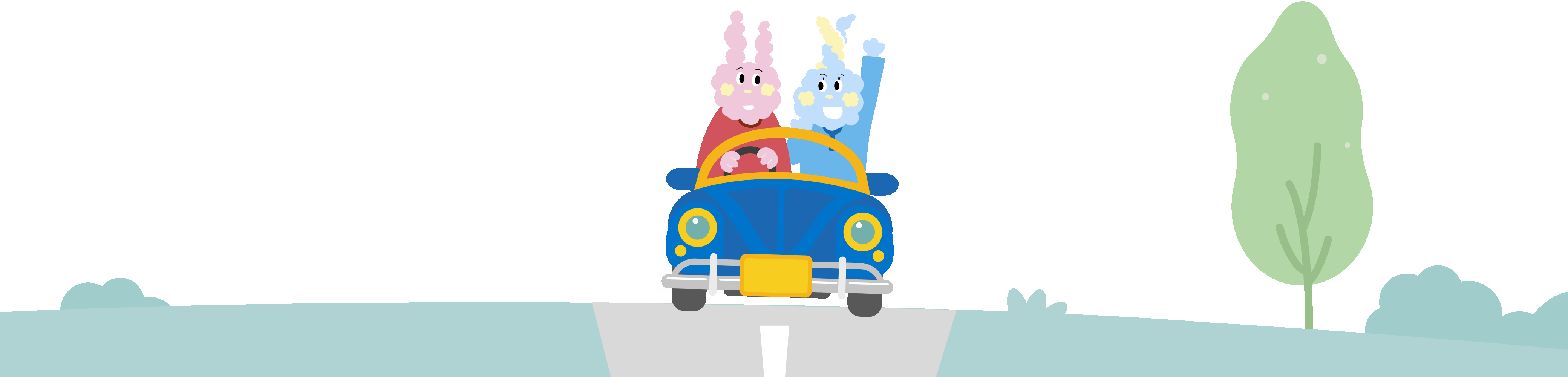 rabbit-car